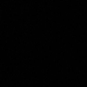 Meet your Posher, Lily